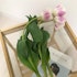 チューリップの花束