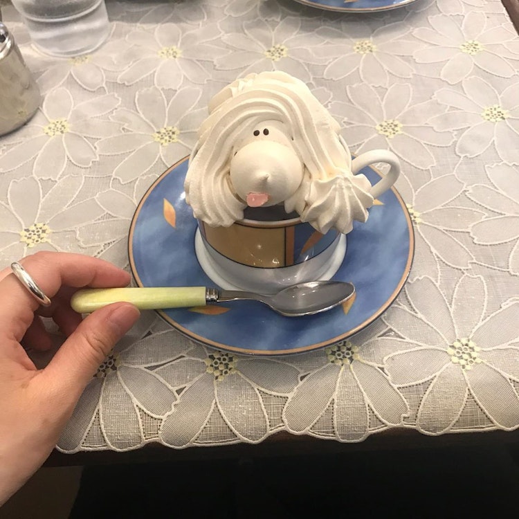 フランス菓子メーテルリンク 神奈川 横浜 真っ白い犬のお菓子の正体は メーテルリンク って Rili リリ