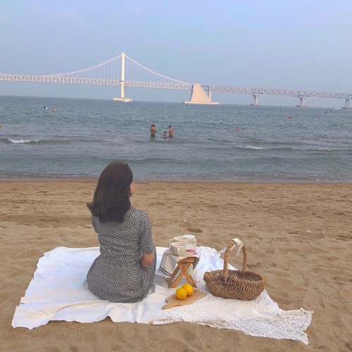 韓国ピクニック